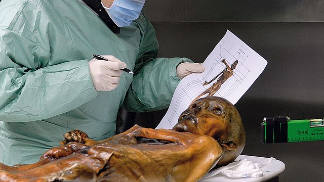 Mummia Ötzi, ricercatore