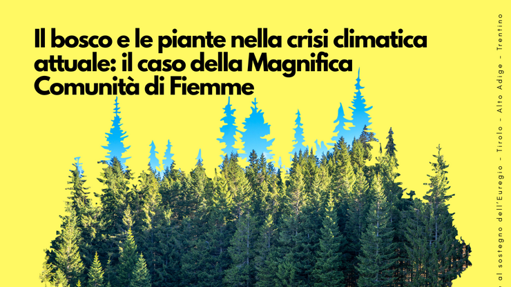 © Magnifica Comunità diF iemme Volantino "Il bosco e le piante nella crisi climatica attuale