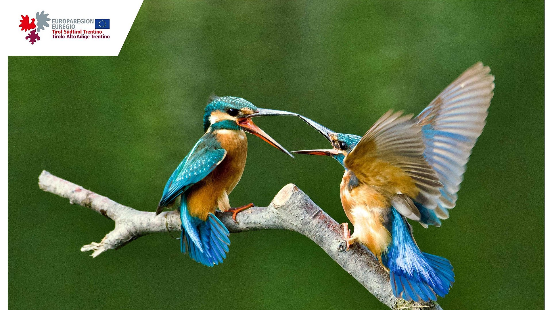 Foto di copertina del Calendario dell'Euregio 2027