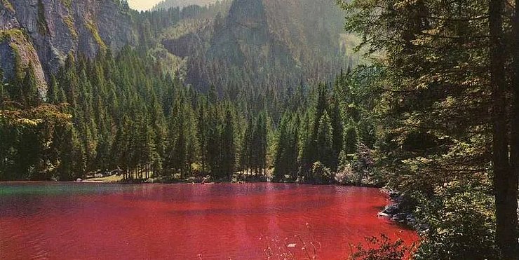 Ein roter Bergsee umgeben von Wäldern. 