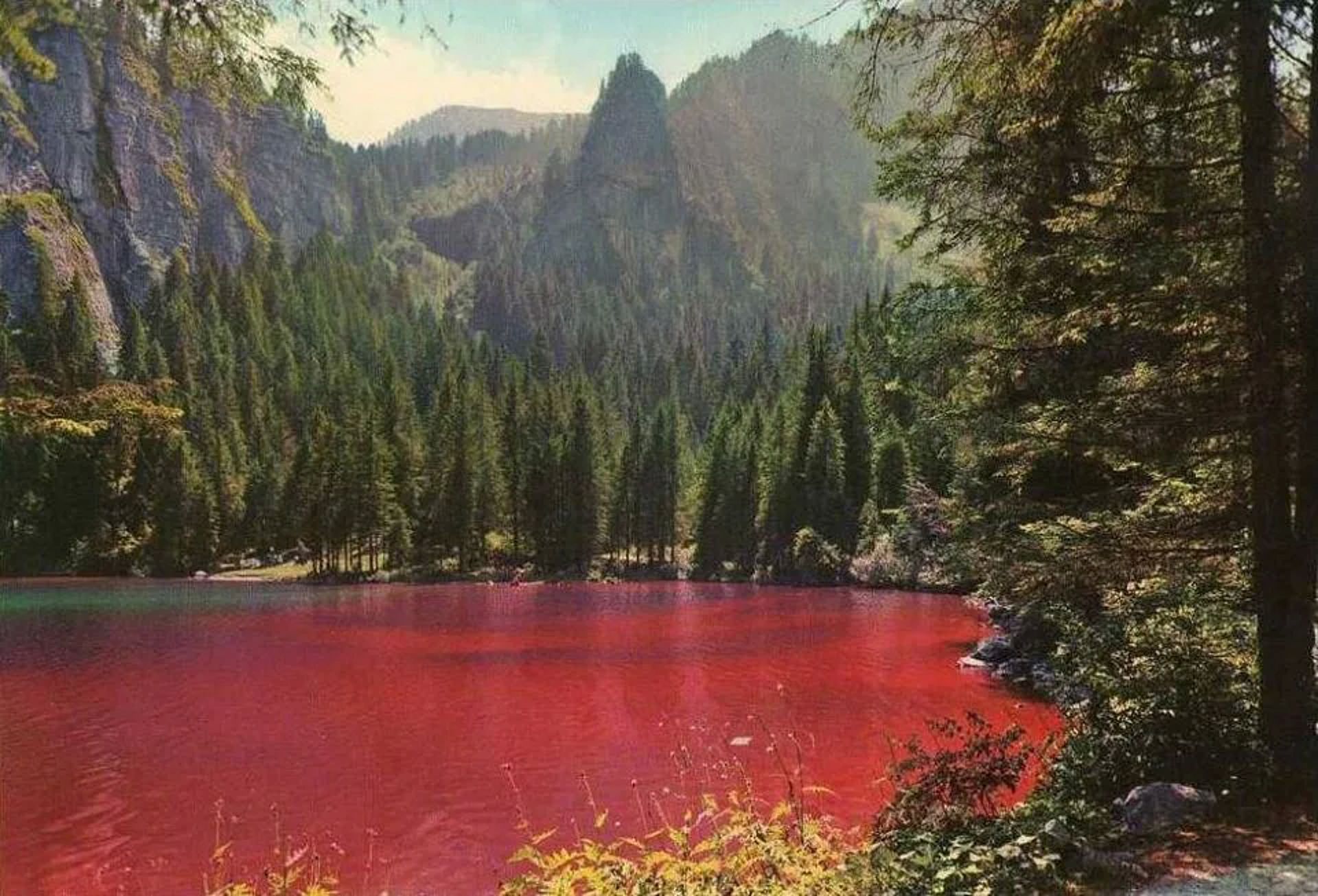 Ein roter Bergsee umgeben von Wäldern. 