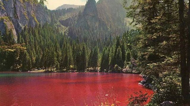 Ein roter Bergsee umgeben von Wäldern. 