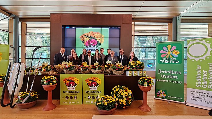 Al Museo Plessi al Brennero è stata presentata oggi per la prima volta la Springstar “euregina” – la pianta dell’Euregio dell’anno 2026.