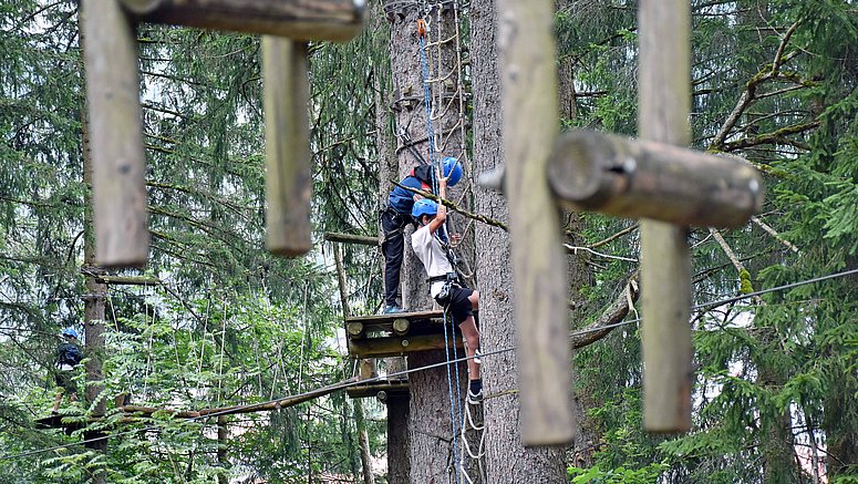 In foto un'attività dell'EuregioSportCamp 2024 tra gli alberi di un parco avventura.