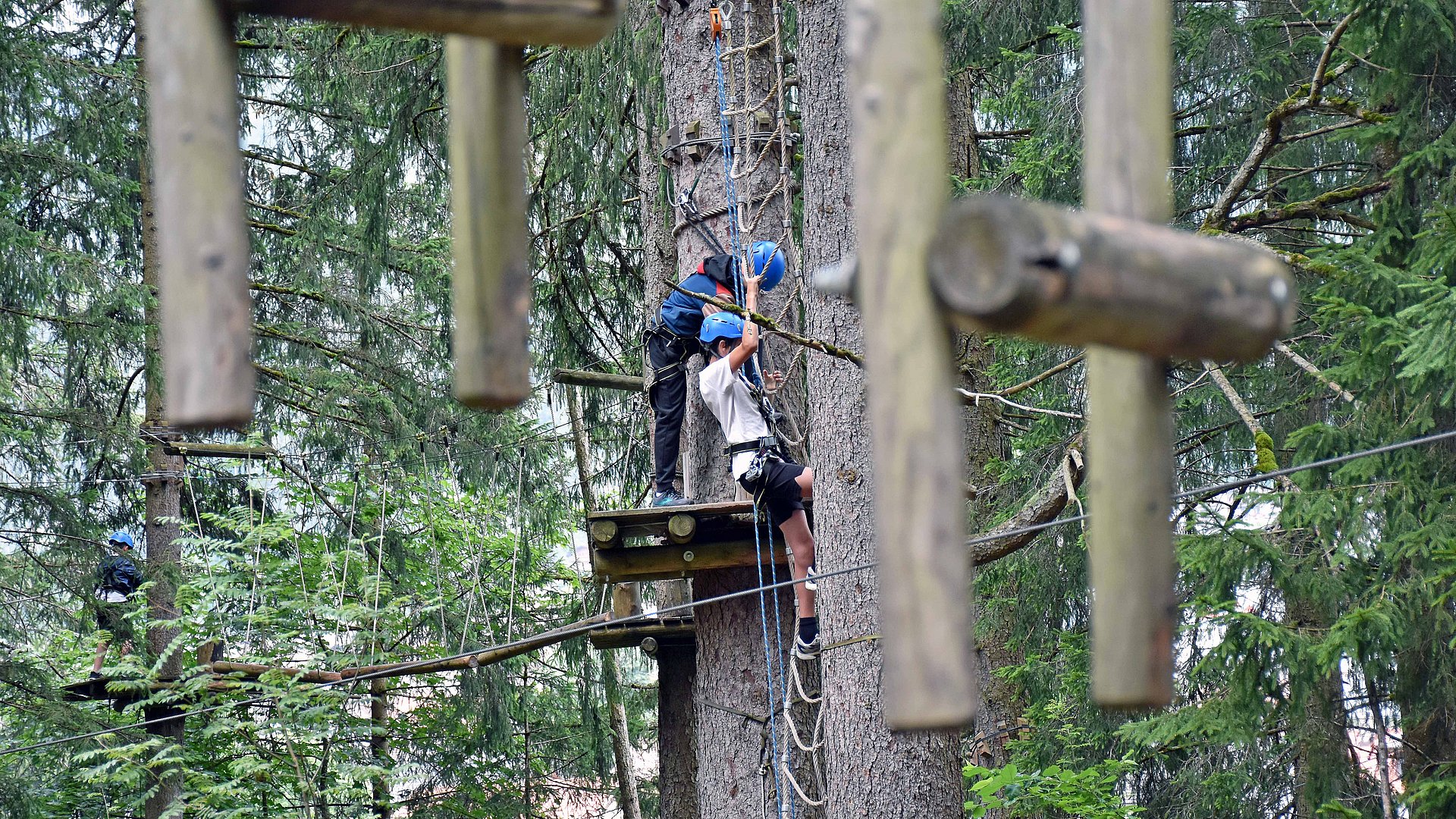 © Land Tirol/Hörmann Un percorso a corde alte a Fulpmes ha permesso ai bambini e ai giovani di salire in alto.