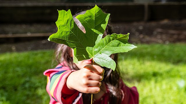 Die Hand eines Mädchen hält ein Blatt.