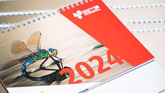 Il calendario fotografico 2024 dell'Euregio è disponibile come calendario da parete o da tavolo. 