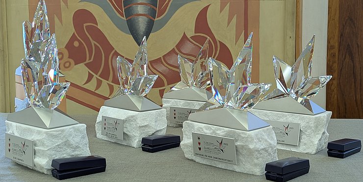 I trofei scintillanti "Rising Stars" di Swarovski, con un piedistallo di granito proveniente dal materiale di scarto del Tunnel di Base del Brennero (BBT), come simbolo di unità oltre le frontiere. 
