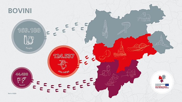 169.188 in Tirolo, 124.537 in Alto Adige e 44.438 in Trentino nel 2020