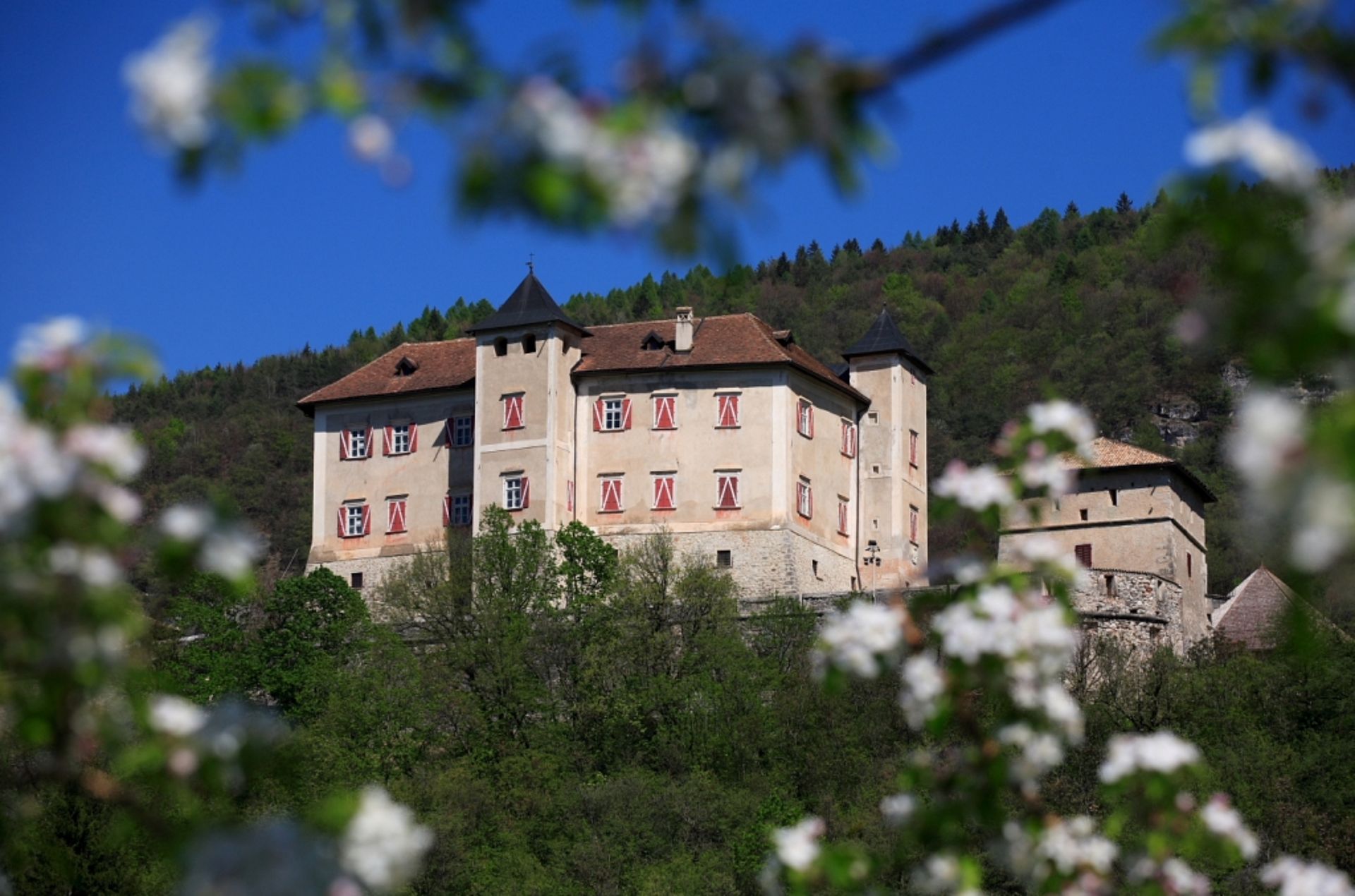 Castel Thun während der Apfelblüte