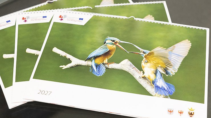 © Land Tirol/Sedlak Il calendario Euregio 2027 in formato calendario da parete.