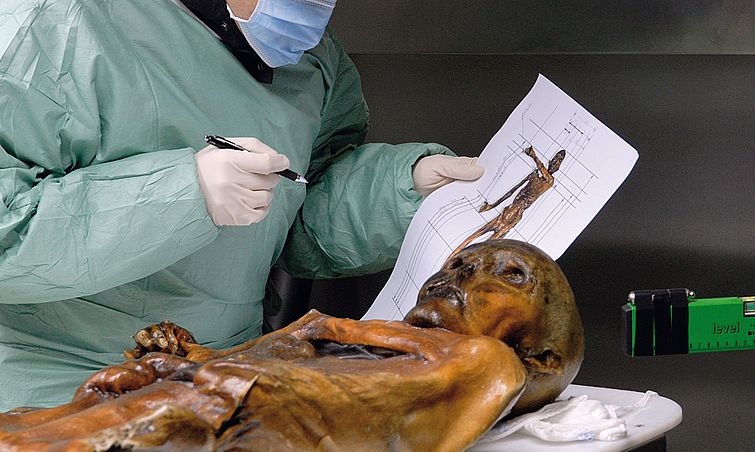 Mumie Ötzi, Wissenschaftler