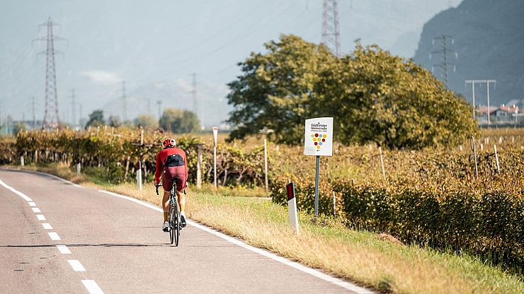 Daniel Oss beim Lokalaugenschein der ersten Etappe, die quer durch die Weinberge an der Südtiroler Weinstraße entlangführt.