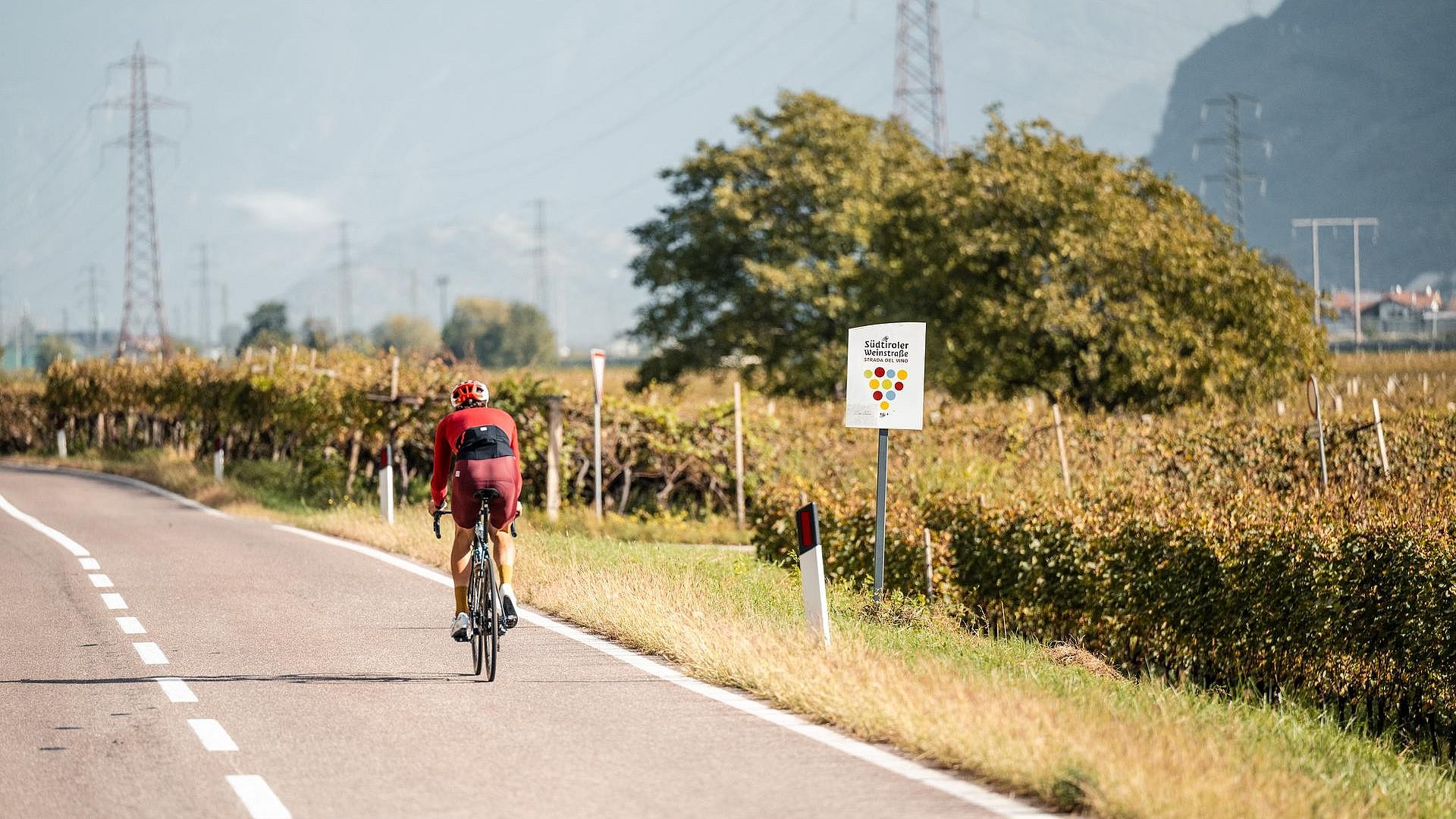  Daniel Oss in ricognizione nella prima tappa tra le coltivazioni della Strada del Vino