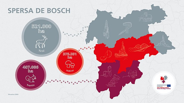 Spersa de bosch tl‘Euregio