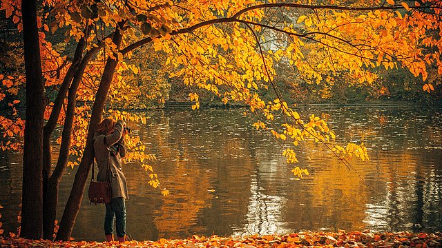 © Unsplash/ Rula Sibai herbst