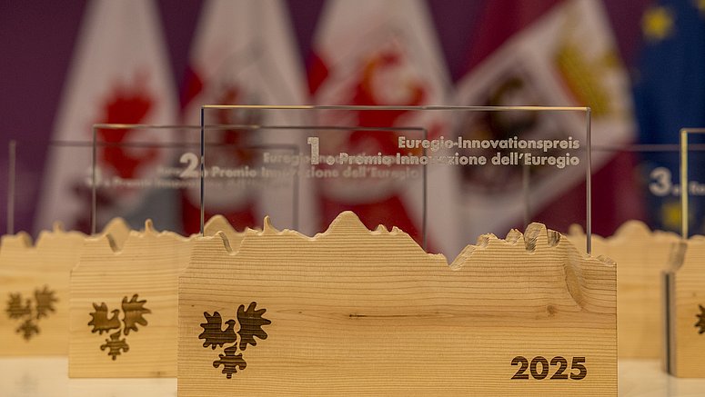 Quest'anno, per la prima volta, ci saranno due categorie per ogni Euregio-Award. 