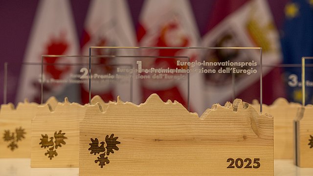 Quest'anno, per la prima volta, ci saranno due categorie per ogni Euregio-Award. 