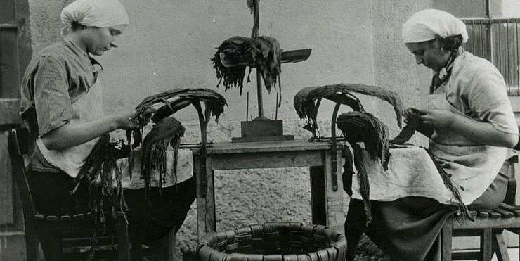© Sconosciuto – Archivio Trentino Sviluppo, Pubblico dominio