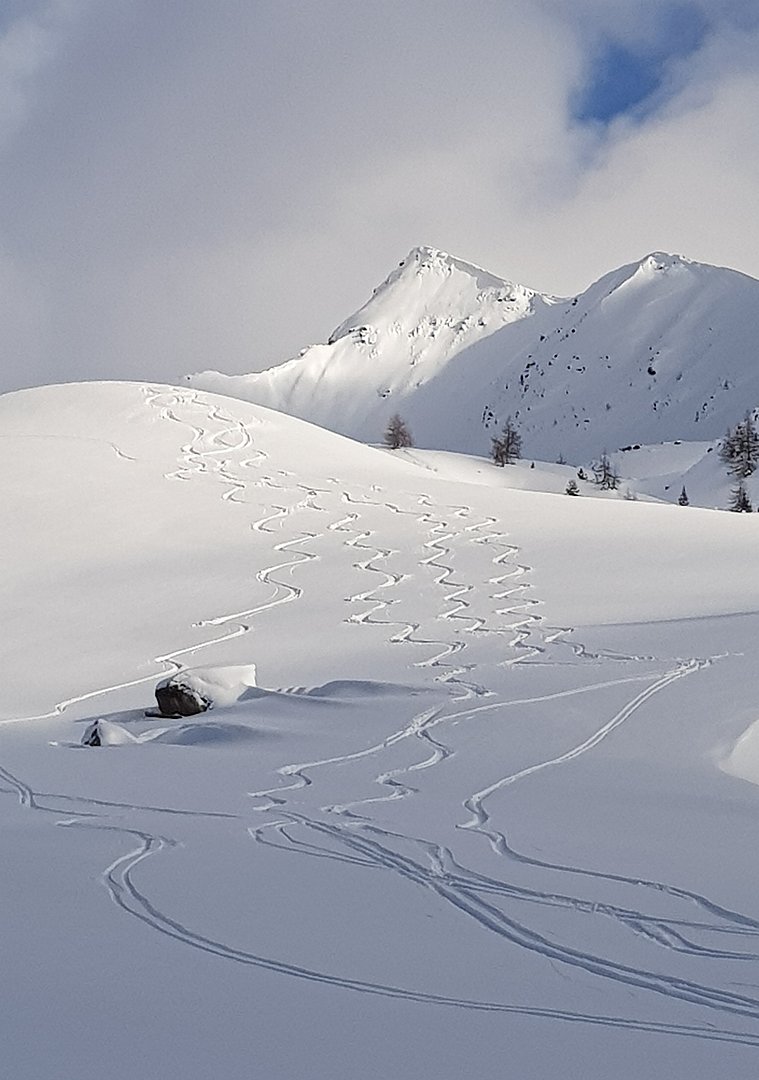 © Euregio Tiefschneefahren, Nähe Taistneralm/Südtirol