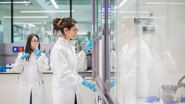 Bando per l'Euregio Science Fund 2024